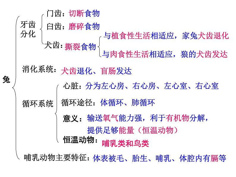 八年级上册生物期末复习提纲_初二生物ppt课件 (1)第6页