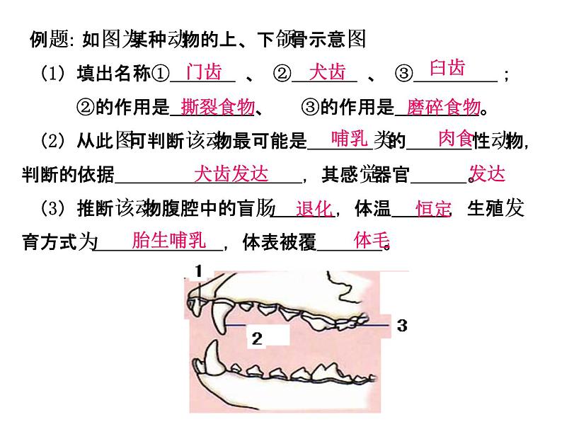 八年级上册生物期末复习提纲_初二生物ppt课件 (1)第7页