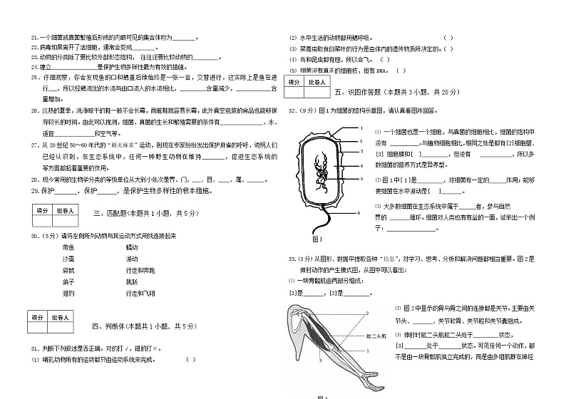 人教版八年级上册生物期末试题第2页