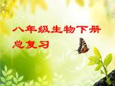 八年级下册期末复习生物课件PPT