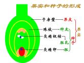 八年级下册期末复习生物课件PPT