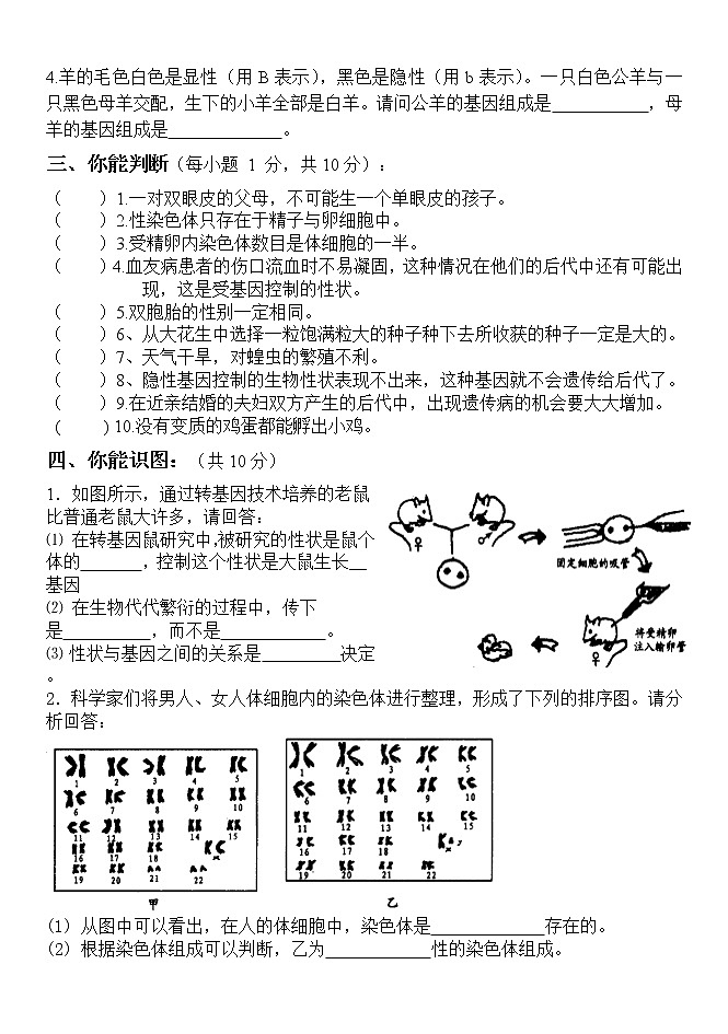 八年级生物下册期中检测考试卷第2页