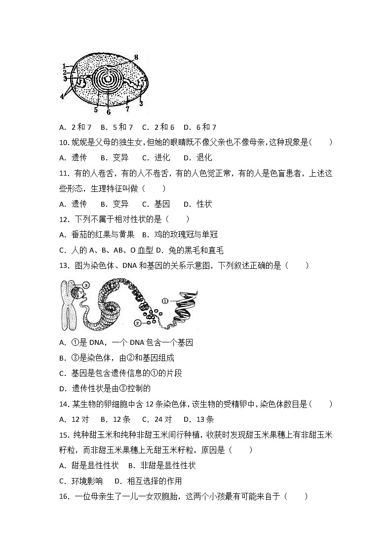 陕西省西安市蓝田县2016-2017学年八年级（下）期中生物试卷（解析版）02