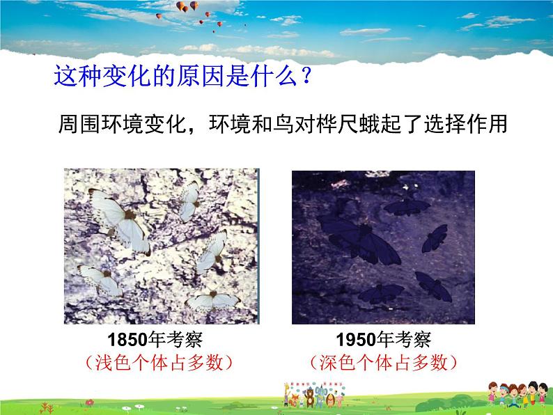 生物进化的原因PPT课件免费下载03