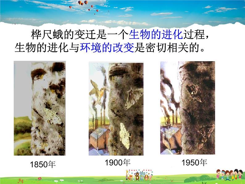 生物进化的原因PPT课件免费下载05