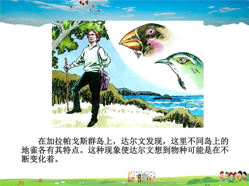 生物进化的原因PPT课件免费下载07