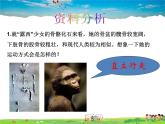 人类的进化PPT课件免费下载
