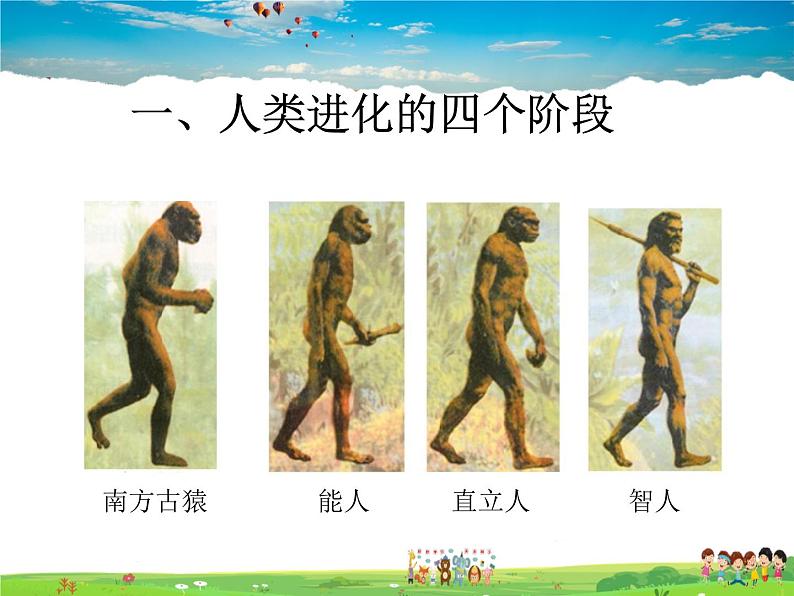 济南版生物八年级下册  5.2.2人类的进化【课件】第7页