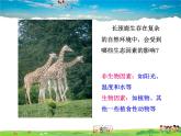 环境对生物的作用PPT课件免费下载
