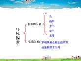 环境对生物的作用PPT课件免费下载