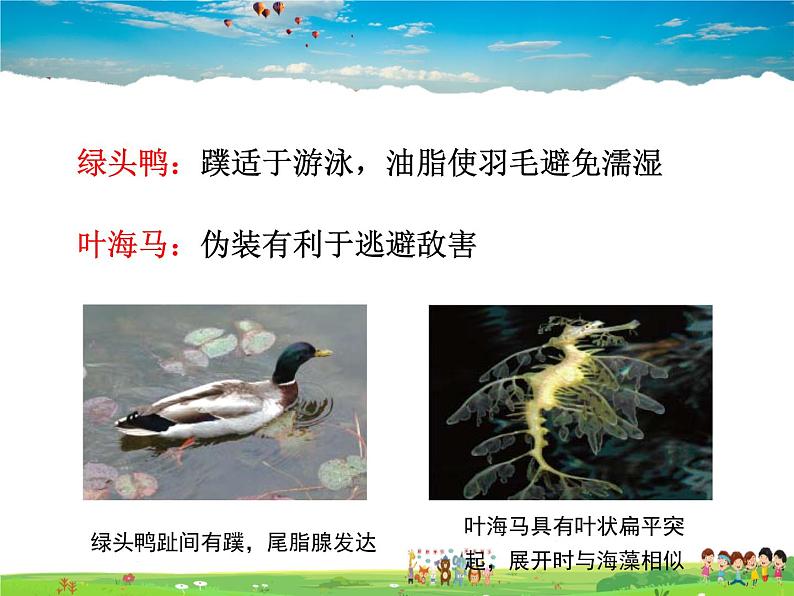 济南版生物八年级下册  6.1.2生物对环境的适应与影响【课件】第7页