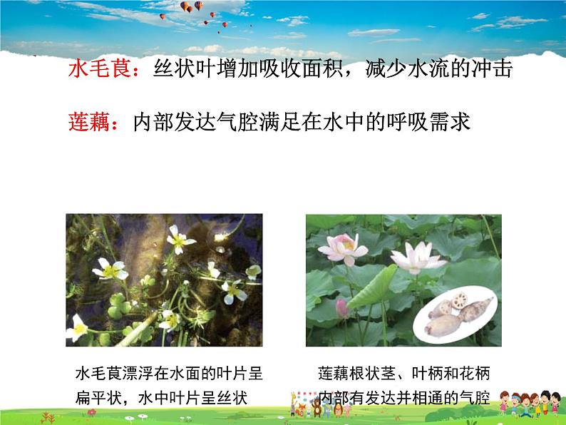 济南版生物八年级下册  6.1.2生物对环境的适应与影响【课件】第8页