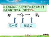 食物链和食物网PPT课件免费下载