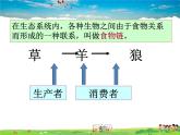 食物链和食物网PPT课件免费下载