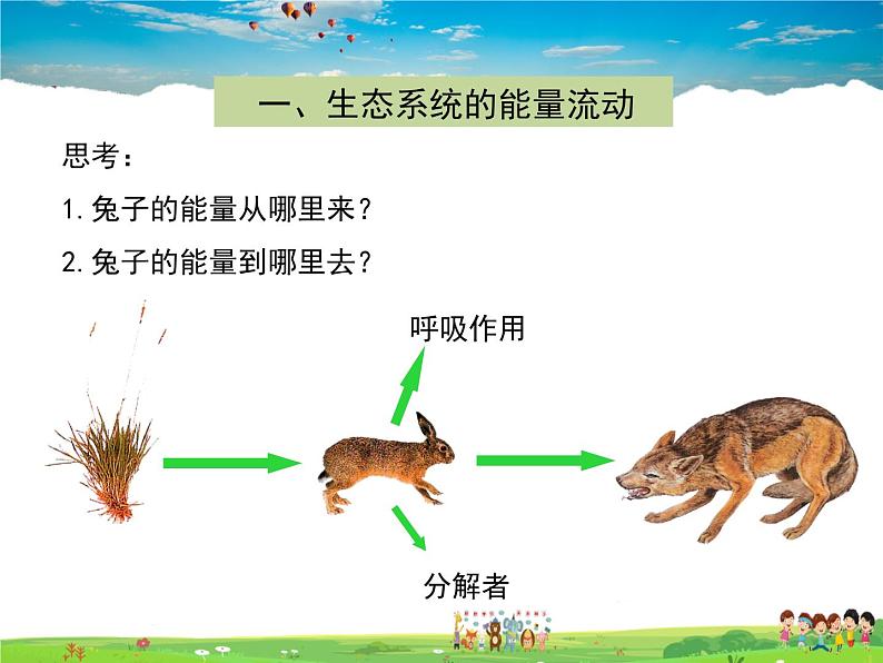 济南版生物八年级下册  6.2.3能量流动和物质循环【课件】05