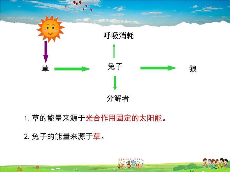 济南版生物八年级下册  6.2.3能量流动和物质循环【课件】06