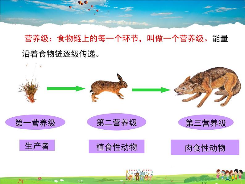 济南版生物八年级下册  6.2.3能量流动和物质循环【课件】08