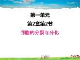 济南版生物七年级上册  1.2.2 细胞的分裂与分化【课件】