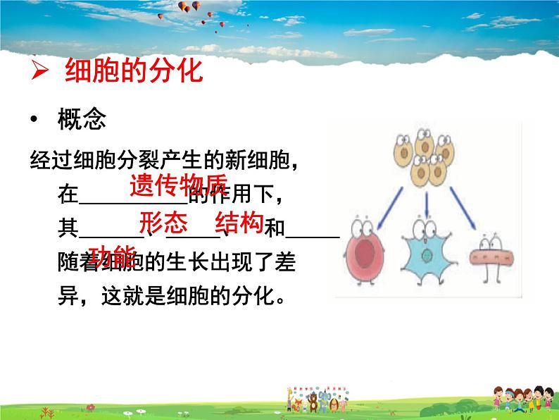 济南版生物七年级上册  1.2.2 细胞的分裂与分化【课件】08