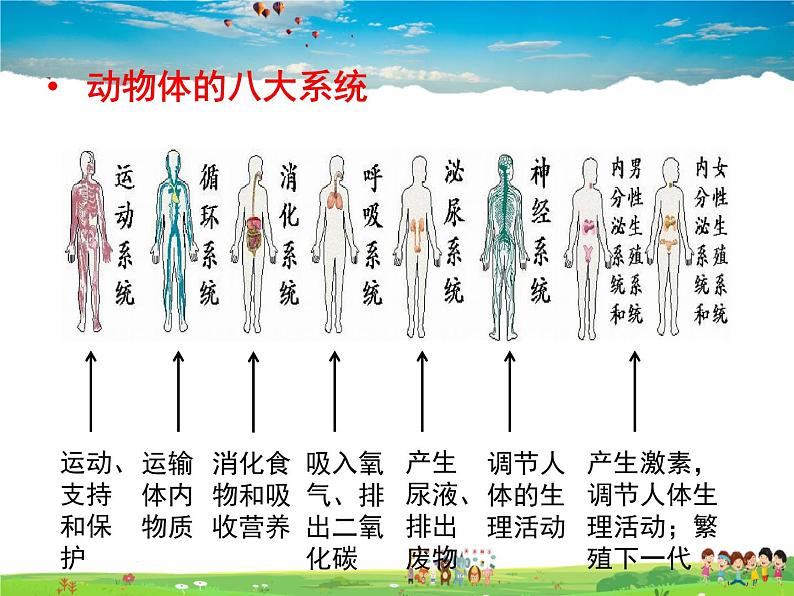 济南版生物七年级上册  1.2.3 多细胞生物体的结构层次【课件】08