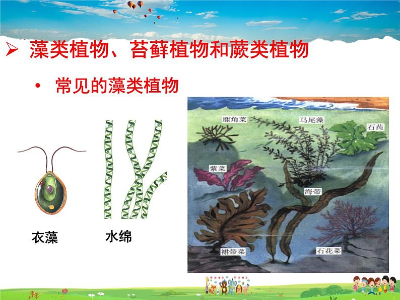 济南版生物七年级上册  2.1.1 绿色植物的主要类群【课件】第2页