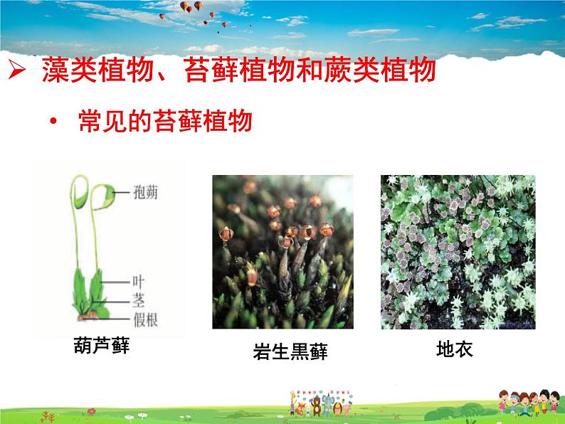 济南版生物七年级上册  2.1.1 绿色植物的主要类群【课件】第5页