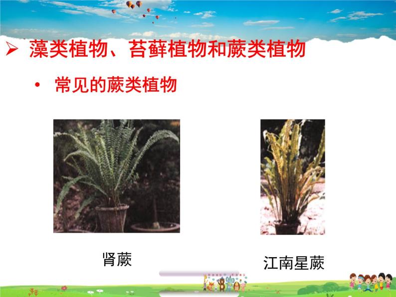 济南版生物七年级上册  2.1.1 绿色植物的主要类群【课件】07