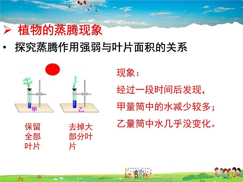 济南版生物七年级上册  2.1.2  绿色植物的蒸腾作用【课件】02