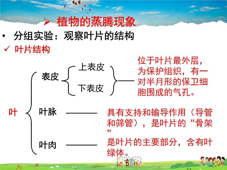 济南版生物七年级上册  2.1.2  绿色植物的蒸腾作用【课件】07