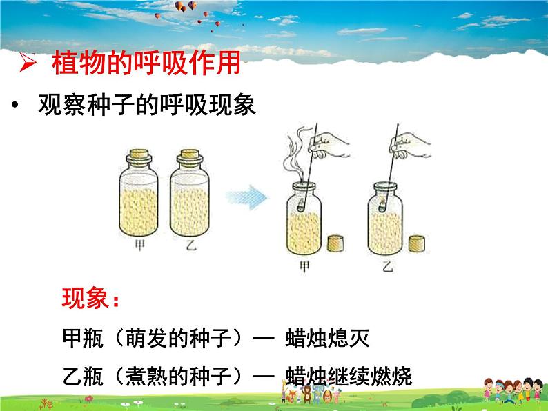 济南版生物七年级上册  2.1.4 绿色植物的呼吸作用【课件】03