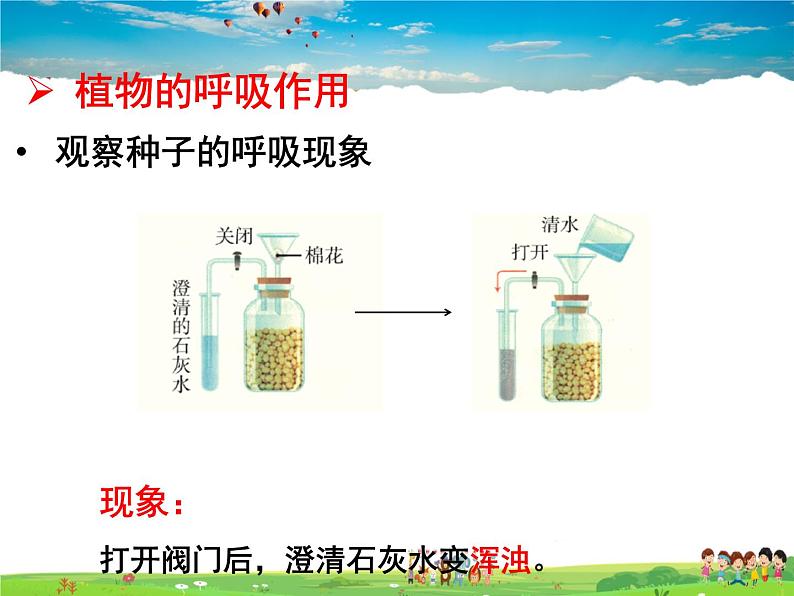 济南版生物七年级上册  2.1.4 绿色植物的呼吸作用【课件】05