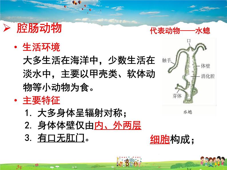 济南版生物七年级上册  2.2.1 无脊椎动物的主要类群【课件】03