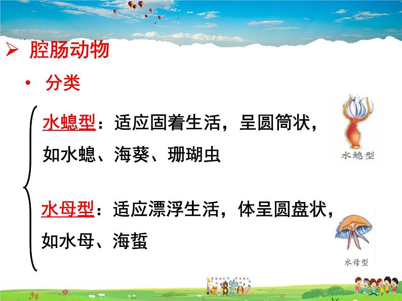 济南版生物七年级上册  2.2.1 无脊椎动物的主要类群【课件】04