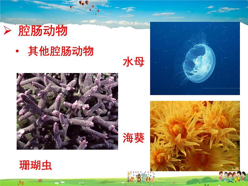 济南版生物七年级上册  2.2.1 无脊椎动物的主要类群【课件】05