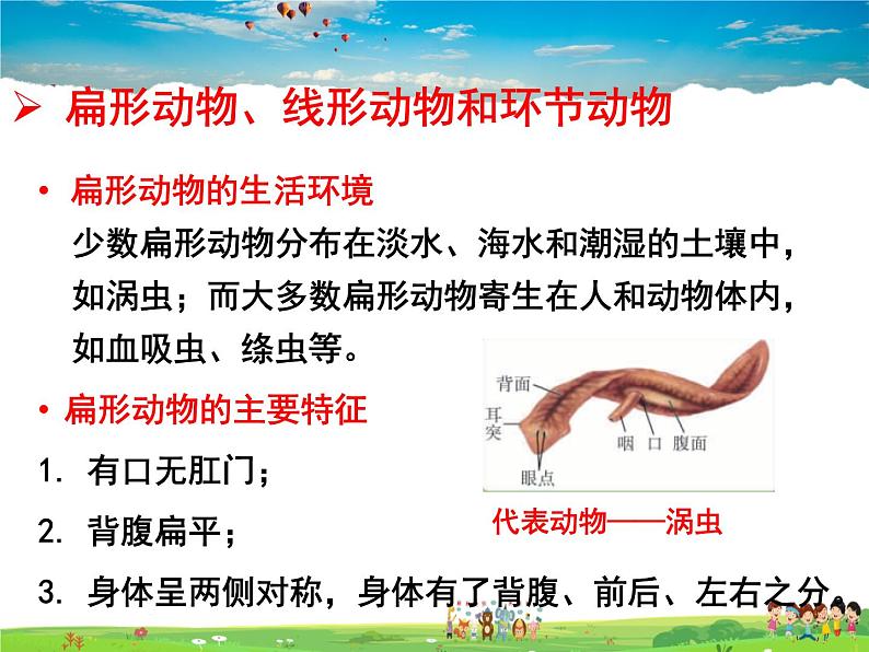 济南版生物七年级上册  2.2.1 无脊椎动物的主要类群【课件】07