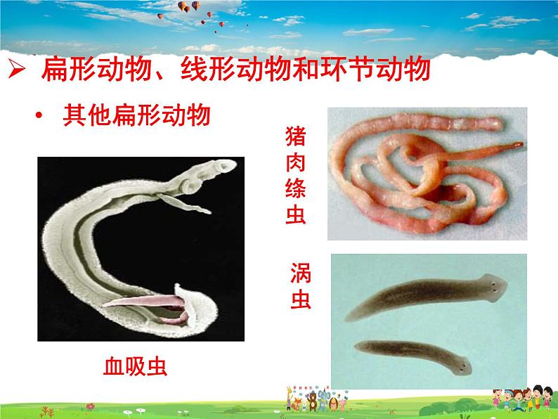 济南版生物七年级上册  2.2.1 无脊椎动物的主要类群【课件】08