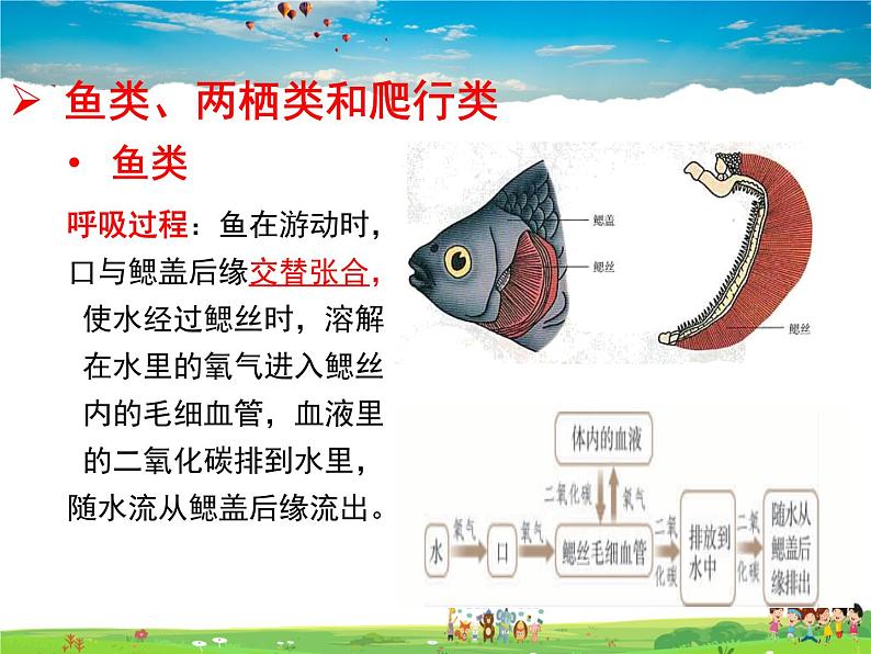 济南版生物七年级上册  2.2.2  脊椎动物的主要类群【课件】03