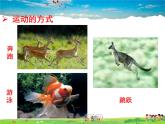 济南版生物七年级上册  2.2.3  动物的运动【课件】