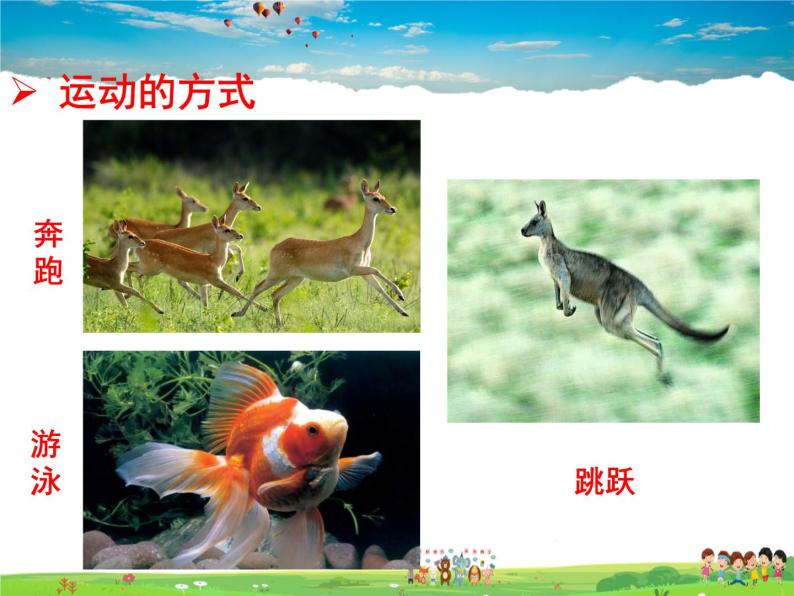 济南版生物七年级上册  2.2.3  动物的运动【课件】02
