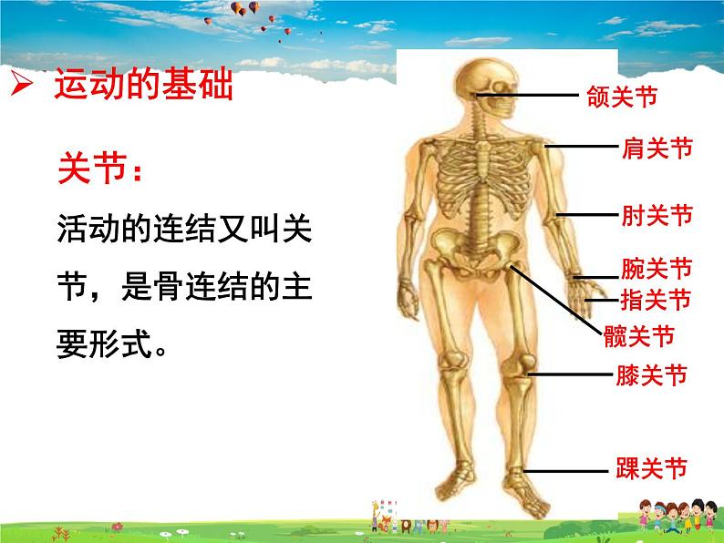 济南版生物七年级上册  2.2.3  动物的运动【课件】05