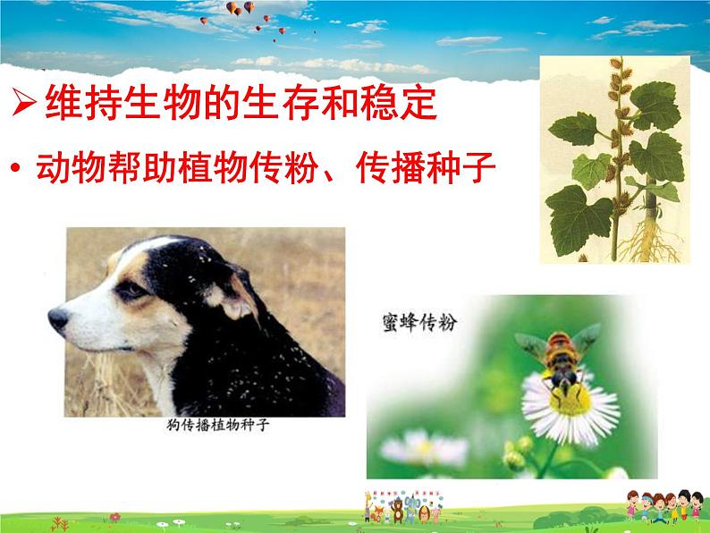 动物在生物圈中的作用PPT课件免费下载03