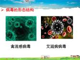 济南版生物七年级上册  2.3.1 病毒【课件】