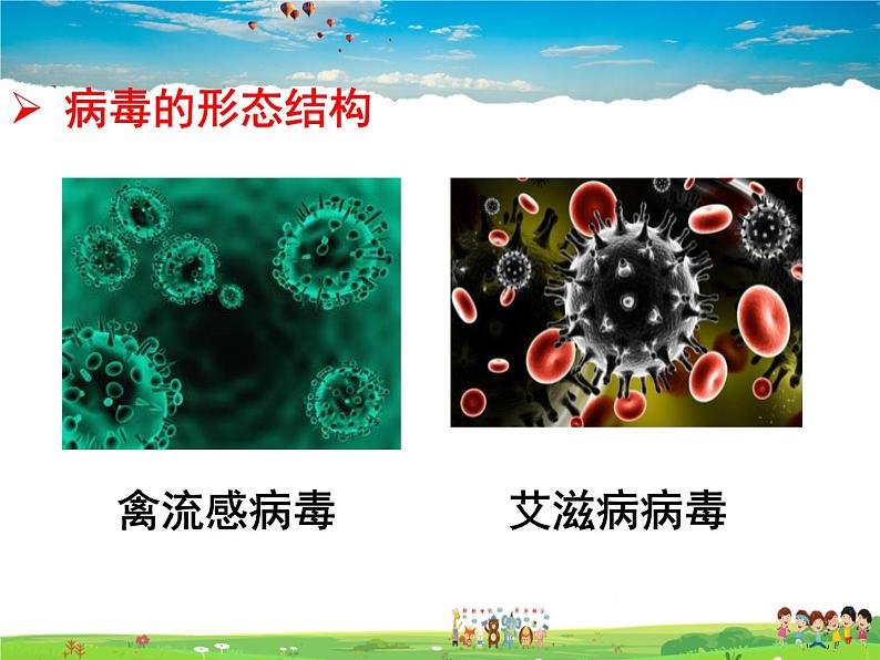 济南版生物七年级上册  2.3.1 病毒【课件】02