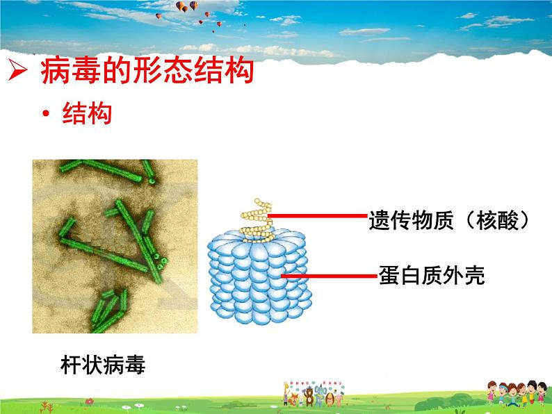 济南版生物七年级上册  2.3.1 病毒【课件】04