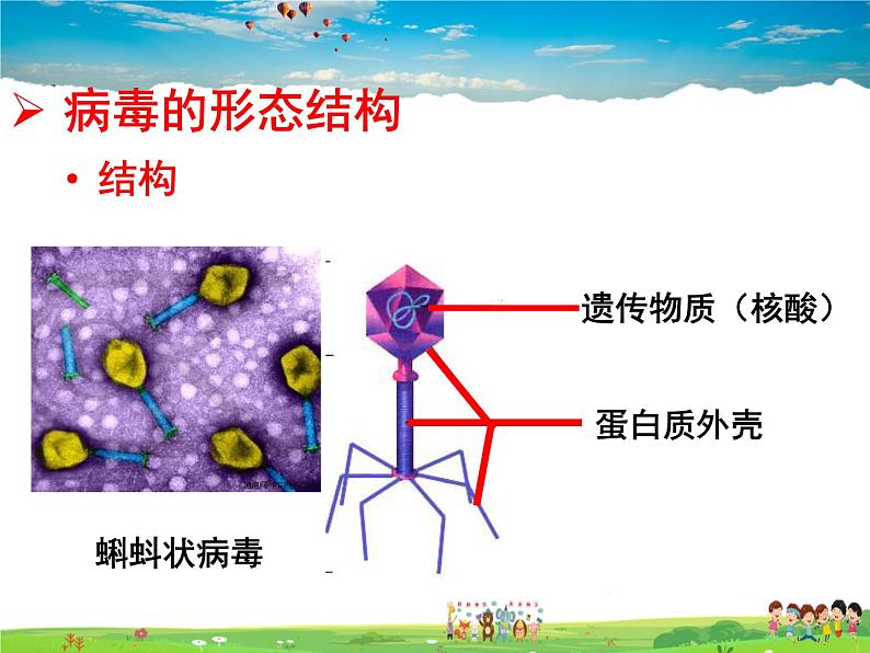 济南版生物七年级上册  2.3.1 病毒【课件】06