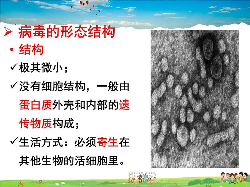 济南版生物七年级上册  2.3.1 病毒【课件】07