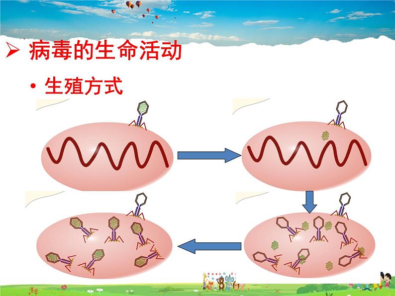 济南版生物七年级上册  2.3.1 病毒【课件】08