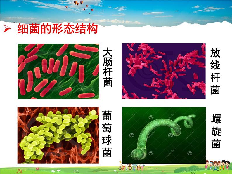 济南版生物七年级上册  2.3.2 细菌【课件】05