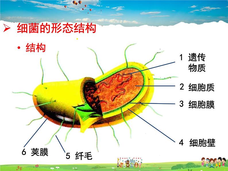 济南版生物七年级上册  2.3.2 细菌【课件】06