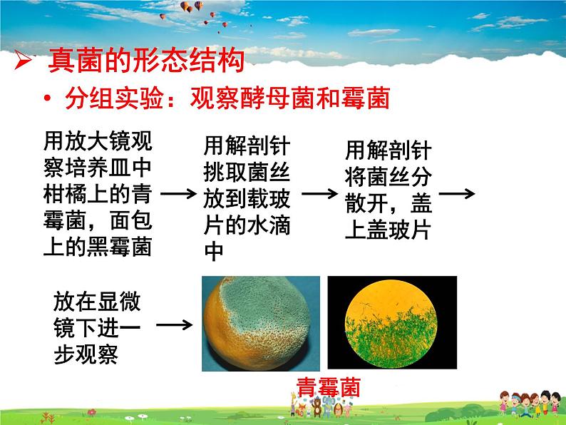 济南版生物七年级上册  2.3.3 真菌【课件】03